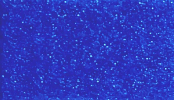 QMX Fluorescent Plus Syste5